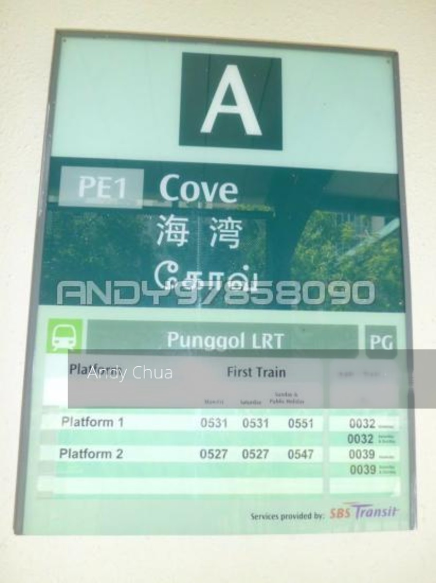 Blk 102C Punggol Field (Punggol), HDB 5 Rooms #155824732